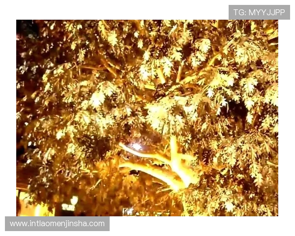 澳门永利赌场发财树的常见病虫害防治措施，保障植物健康与财运不断