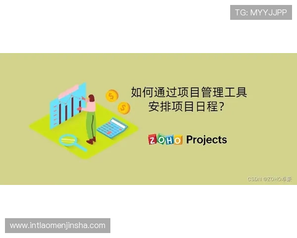 掌握金沙集团优惠技巧实现游戏收益最大化的实用攻略