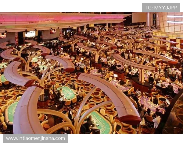 金沙中国有限公司股价变化趋势及投资者应关注的关键因素详解