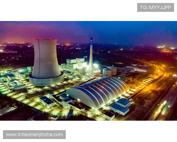 金沙旗舰网站安全保障措施全面解析确保玩家信息安全与资金安全的最佳实践