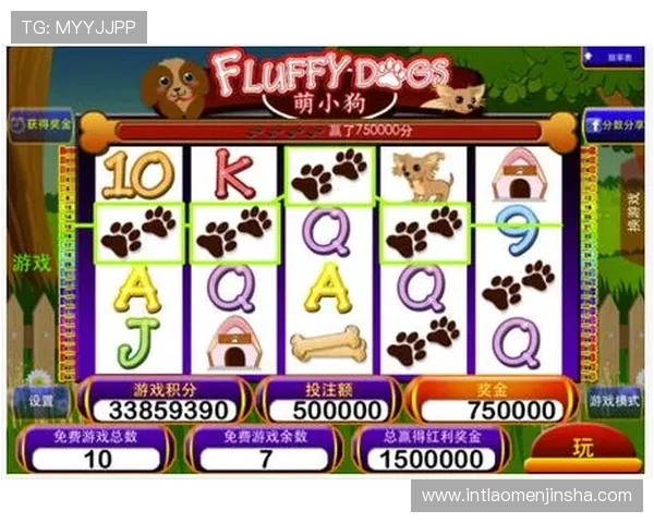 深入了解多福多财角子机的游戏规则和中奖机制提升你的游戏体验与盈利能力