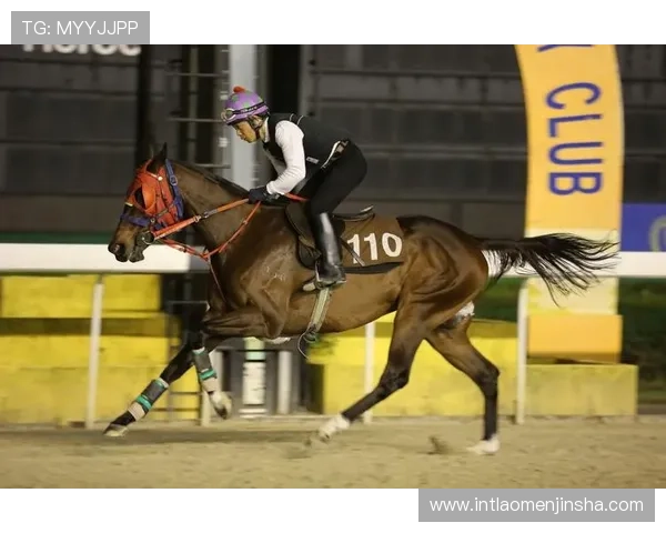 澳门赛马时间安排及赛程安排详细介绍，助您精准把握比赛节奏与投注时机