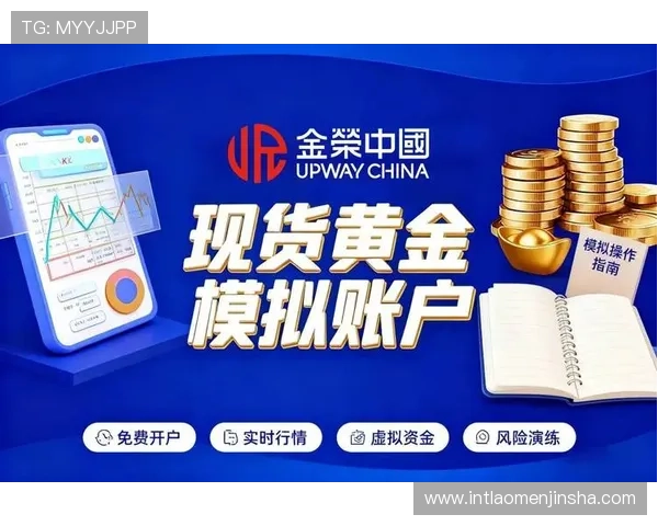 澳门金沙平台开户安全技巧与注意事项，保障你的账户信息和资金安全的实用建议